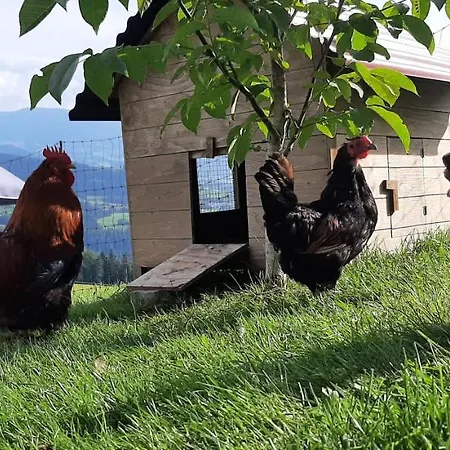 Apartamento Antoniushof